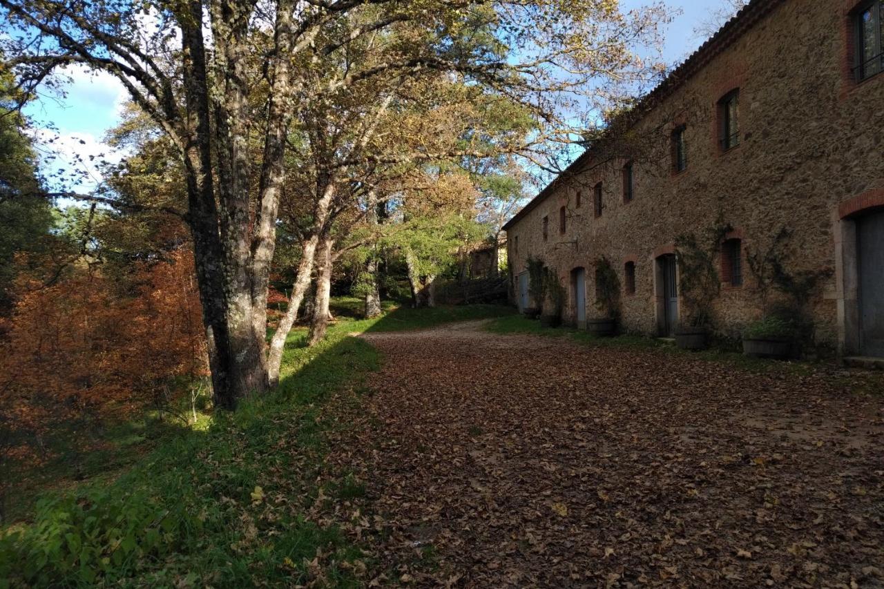 Appartamento con Vista Giardino